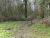 NWK 2012 022_small.jpg